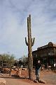20081104 apache trail 004